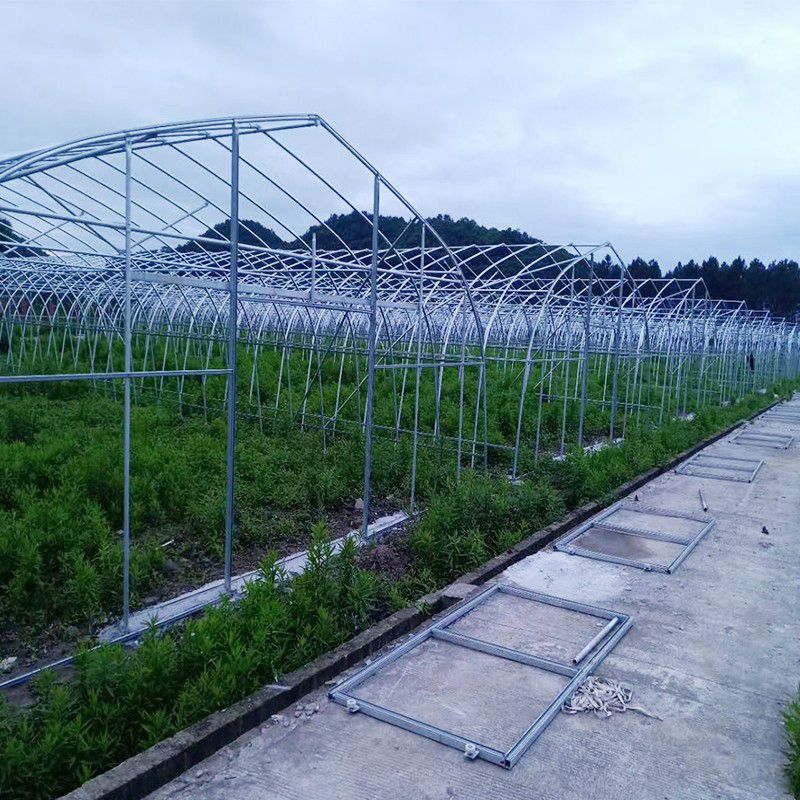 青山大棚骨架